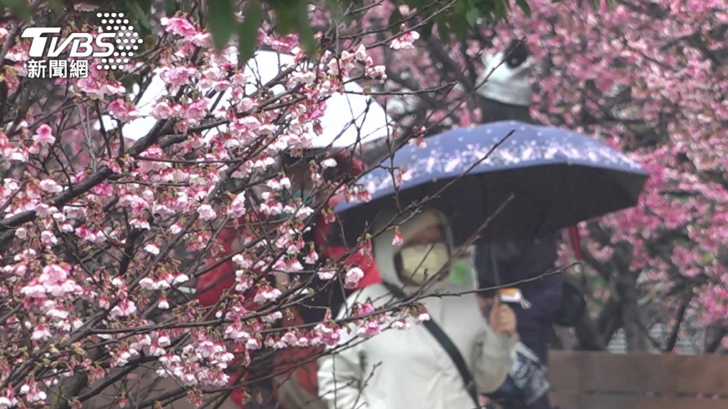 「雨水」節氣到！吃重口味、碰冷水都NG　5大禁忌出爐