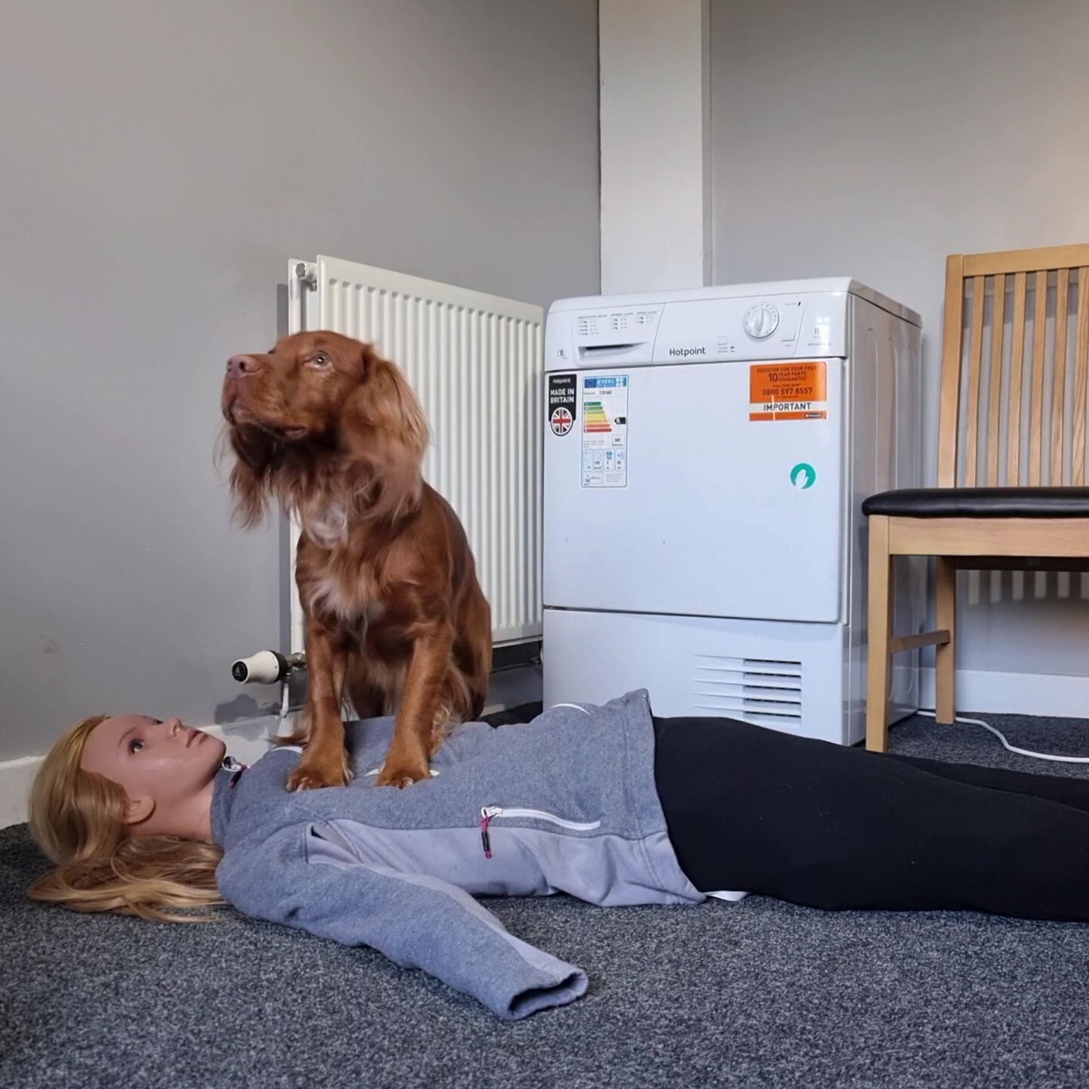 里歐對假人胸部進行反覆按壓。(圖/翻攝自trickspaniel IG)