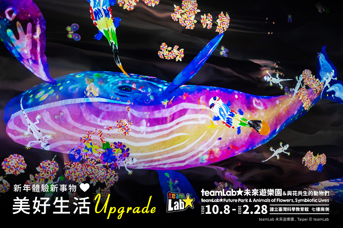 teamLab的沈浸式光影互動展。(圖/翻攝自teamLab未來遊樂園臉書)