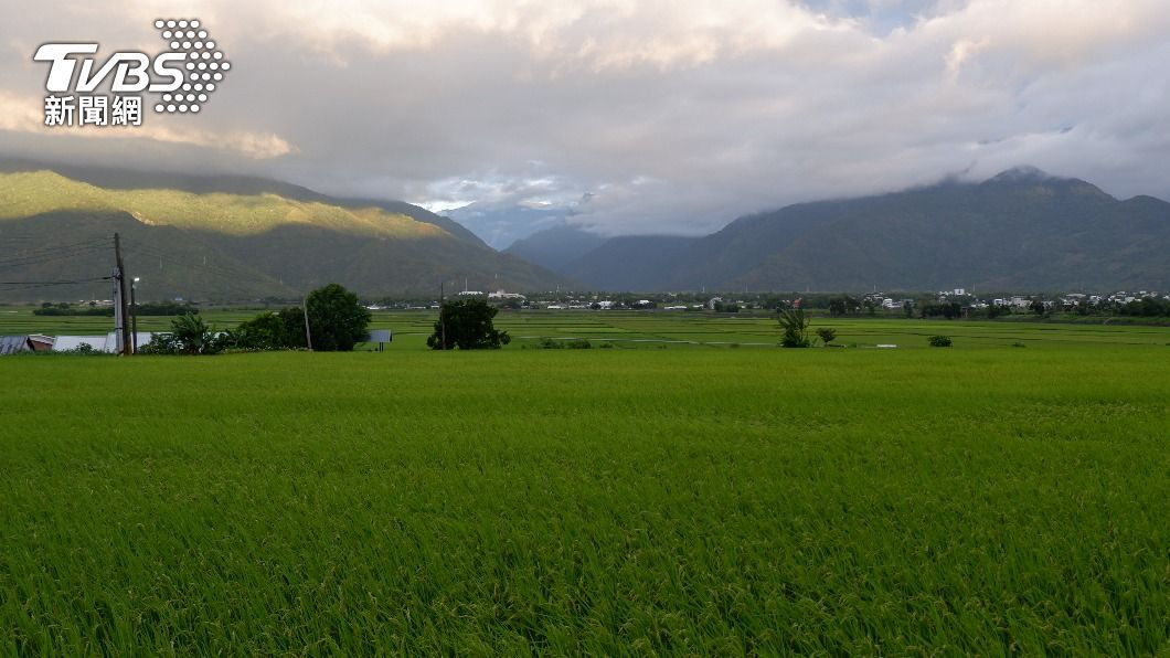 林男表示，自己原先職業為水手後來才到山上種水果。（示意圖／shutterstock 達志影像）