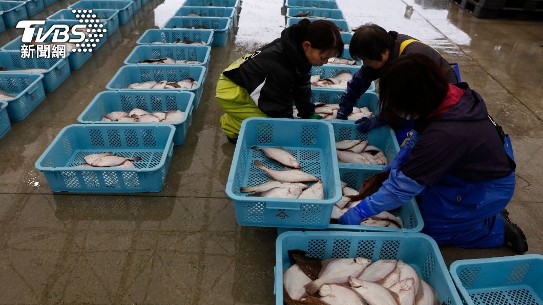 日福島縣海域撈捕魚隻「許氏平鮋」 第三度驗出過量輻射停售