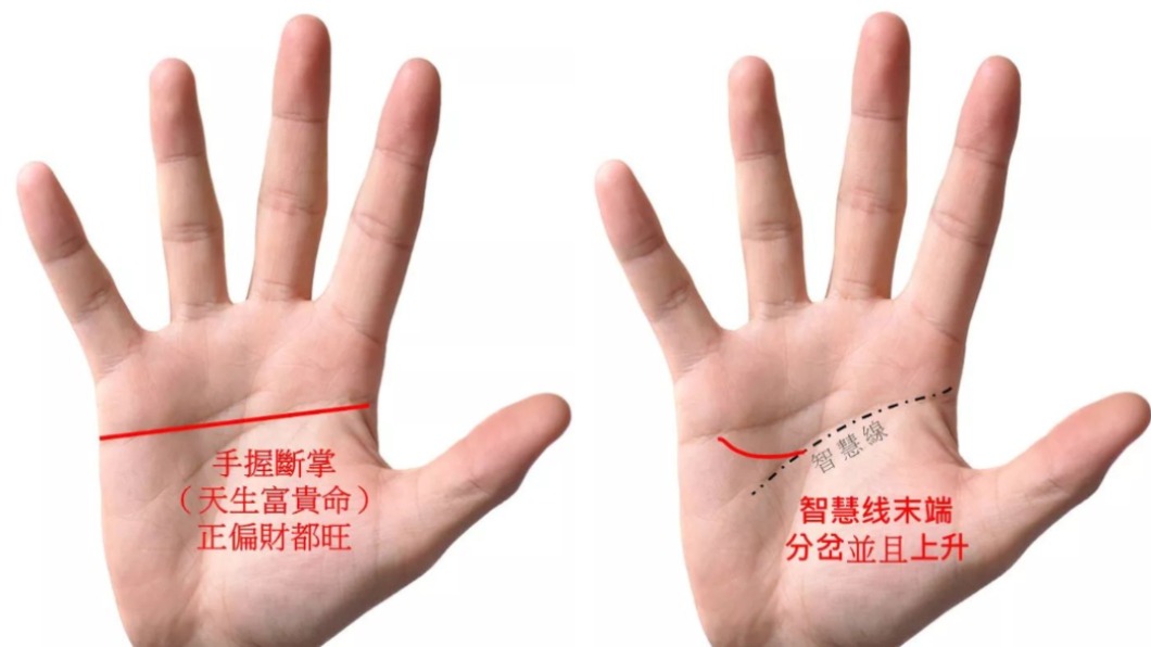 斷掌、智慧線末端分岔上升。（圖／翻攝自「塔羅牌老師艾菲爾」臉書）