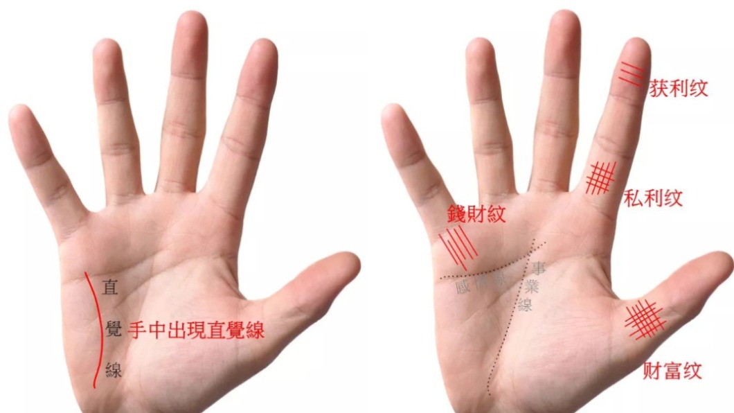 手掌中出現直覺線、財富紋、獲利紋、私利紋、錢財紋。（圖／翻攝自「塔羅牌老師艾菲爾」臉書）