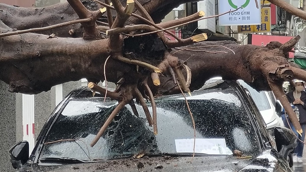 休旅車頂毀損,擋風玻璃破裂。(圖/翻攝自爆料公社 臉書)