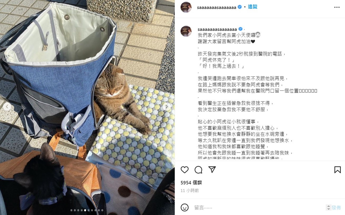 莎莎說阿虎是她送走的第六位小朋友。（圖／翻攝自莎莎IG）