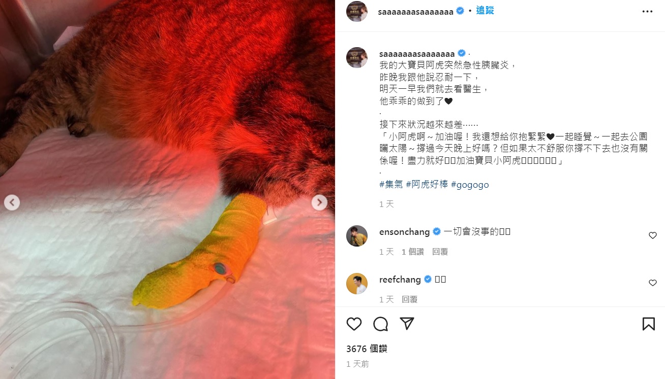 莎莎8日才發集氣文。（圖／翻攝自莎莎IG）