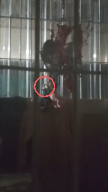 張姓男子日前看見陽台上掛女內衣褲，起色心下手行竊。（圖／警方提供）