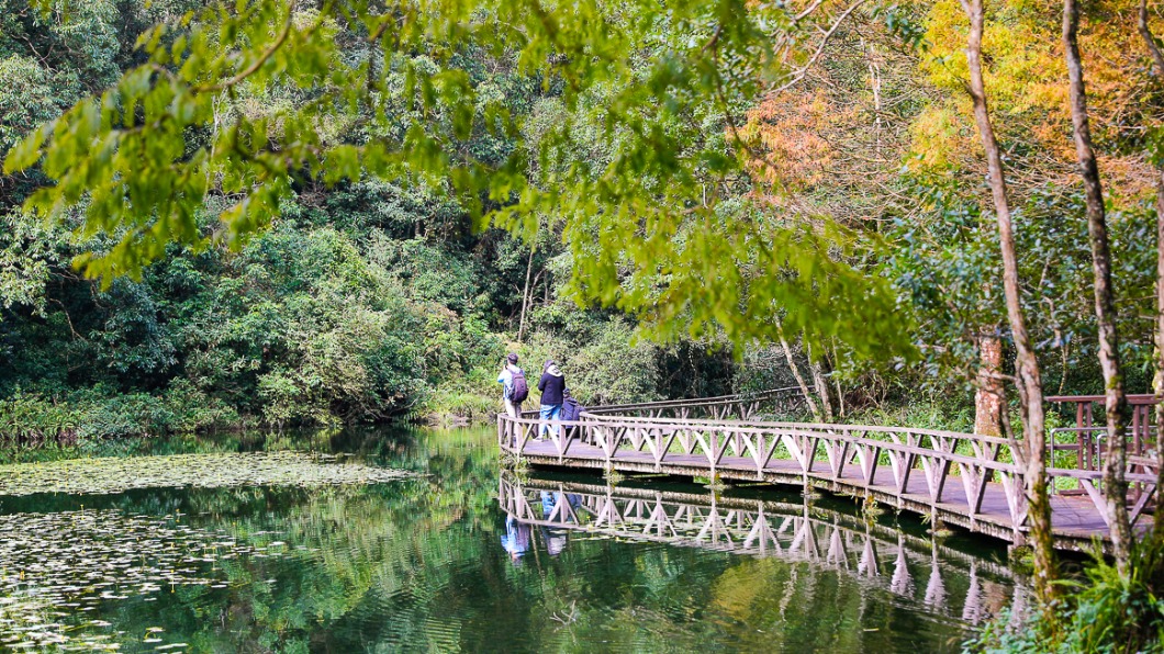 宜蘭秘境再+1!超美「福山植物園」 帶家人吸收芬多精