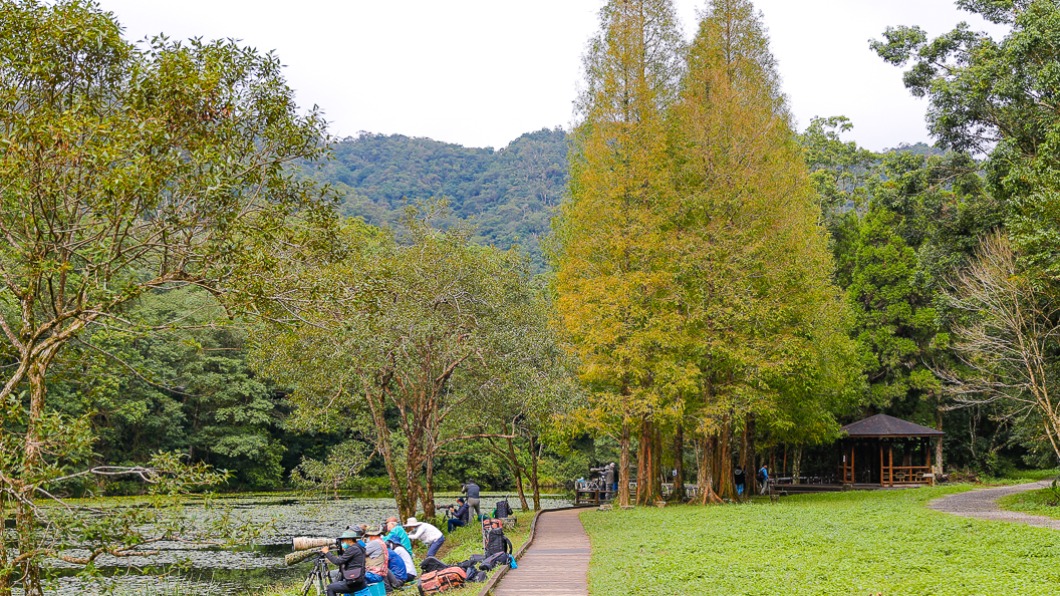 植物園中都有散布的步道，彷彿置身森林中。（圖／卡夫卡愛旅行）