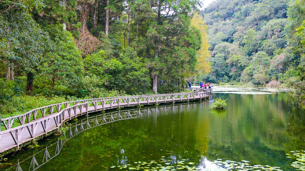植物園中有超大湖泊，樹林的倒影呈現夢幻色。（圖／卡夫卡愛旅行）