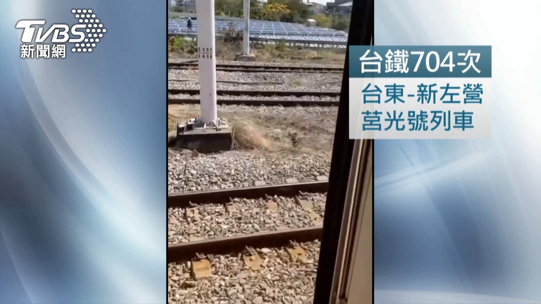 圖／TVBS