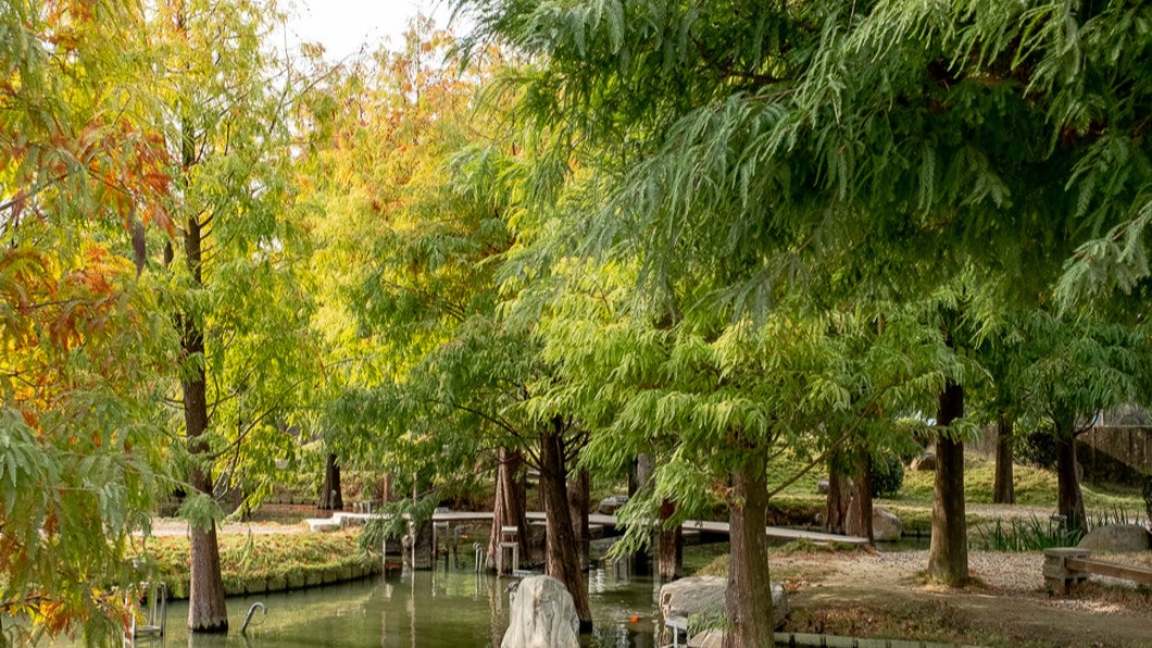 園區內高達80種日式造景。(圖/桃桃's旅人手札)