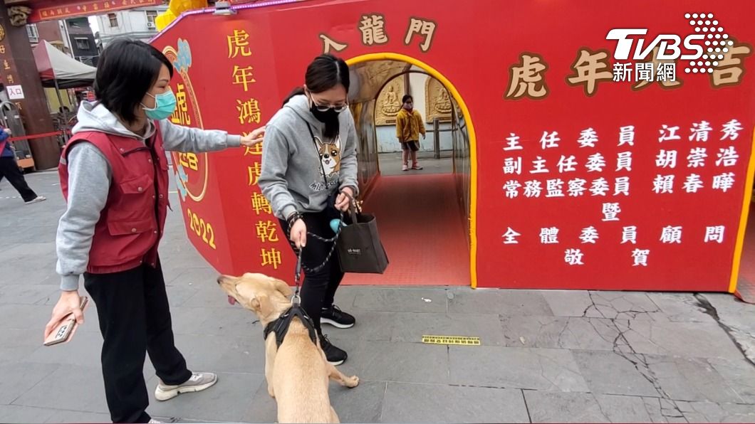 飼主帶毛寶鑽平安橋 祈求來年健康好運