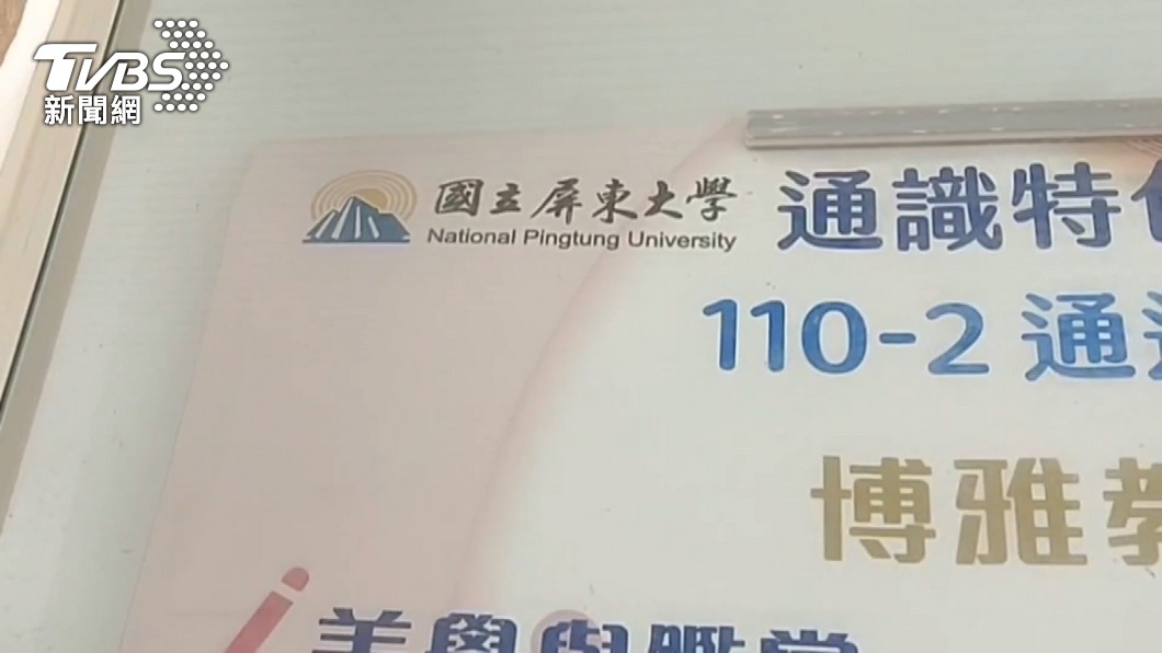 屏東大學校徽涉嫌抄襲。(圖/TVBS)