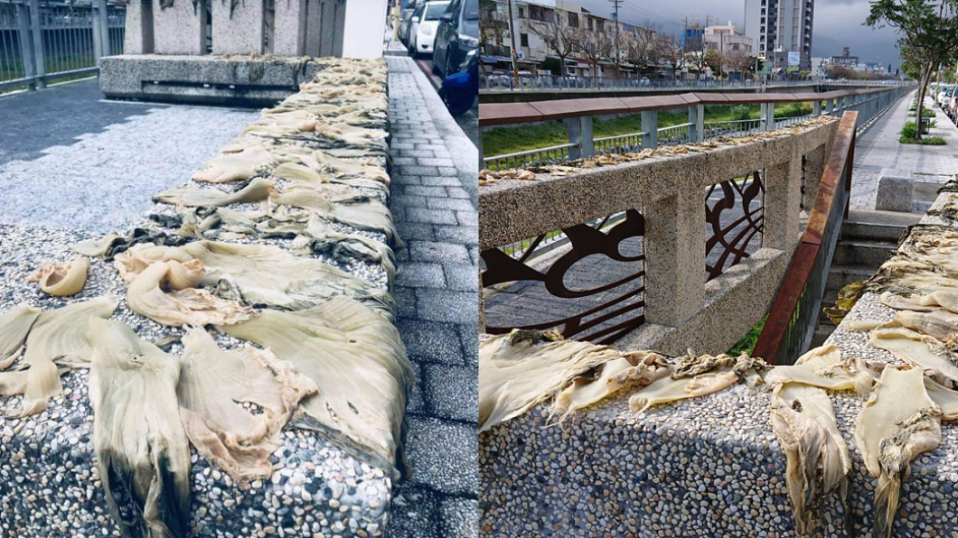 酸菜集體公園日光浴!在地人笑「花蓮日常」 阿嬤回應了