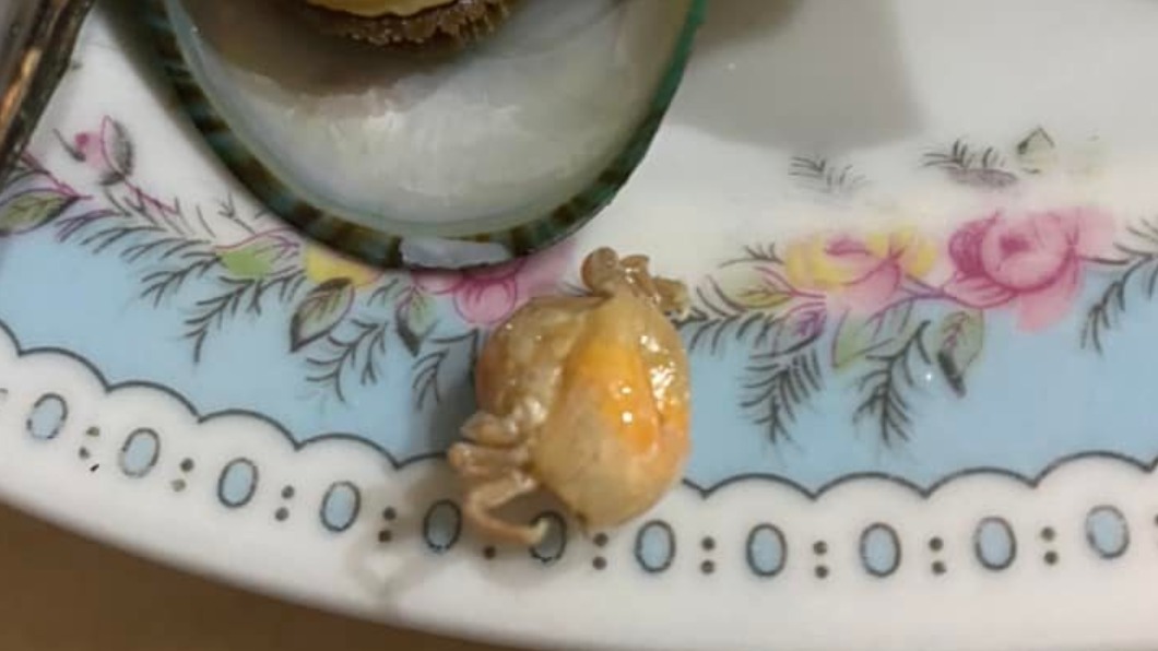 網友紛紛解答此物為豆蟹。(圖/翻攝自爆料公社-官方粉專專屬臉書)