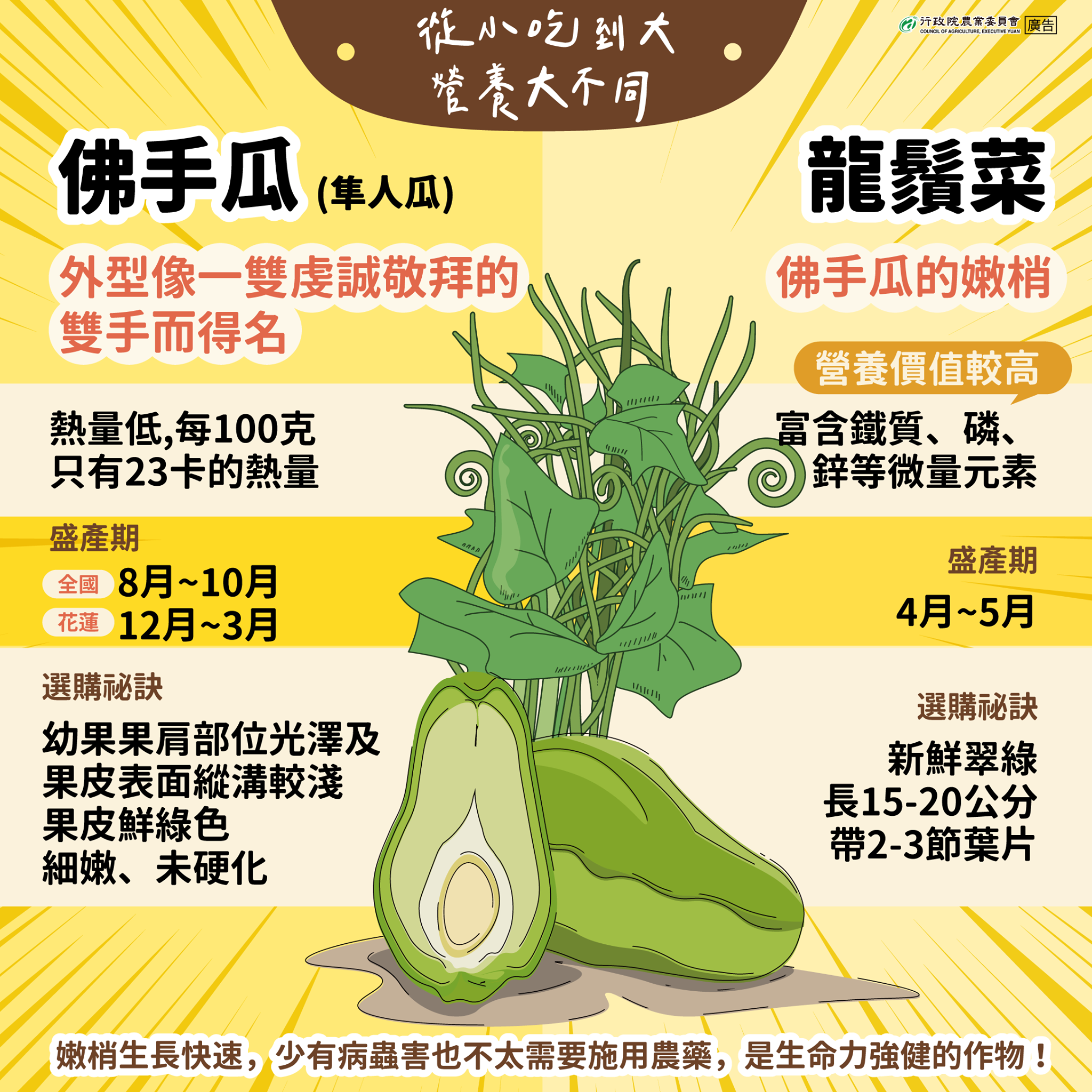 農委會說明，雖然是同根生，但龍鬚菜營養價值較高。（圖／翻攝自行政院農業委員會臉書）