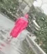照片放大，可以清楚看見紅衣女樣貌。（圖／翻攝自爆廢公社公開版臉書）