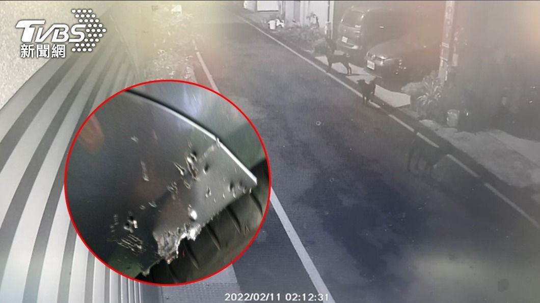 愛車葉子板被7隻黑狗兄咬到坑坑洞洞，車主直呼好倒楣。（合成圖／TVBS）