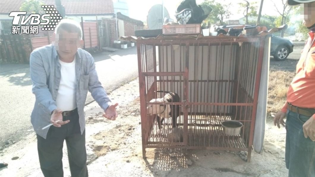 代表回嗆：我狗咬死浪犬關他甚麼事。（圖／TVBS）