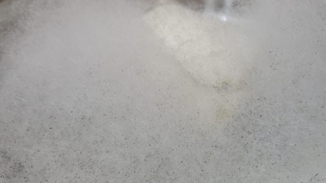 網友在電鍋內蒸饅頭忘拿出，隔了一段時間驚見白色黴菌。（圖／翻攝自PTT）