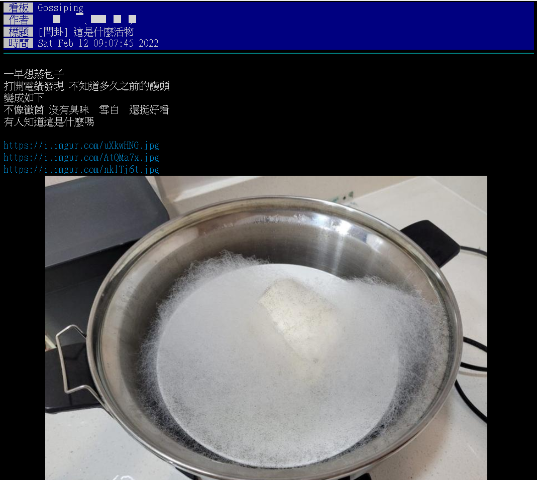 網友在電鍋內蒸饅頭忘拿出，隔了一段時間驚見白色黴菌。（圖／翻攝自PTT）