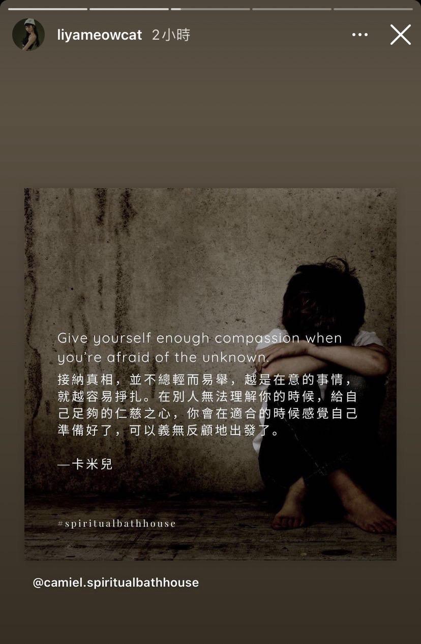 莉婭轉發文章,疑似回應直播。(圖/翻攝自陳緗妮IG)