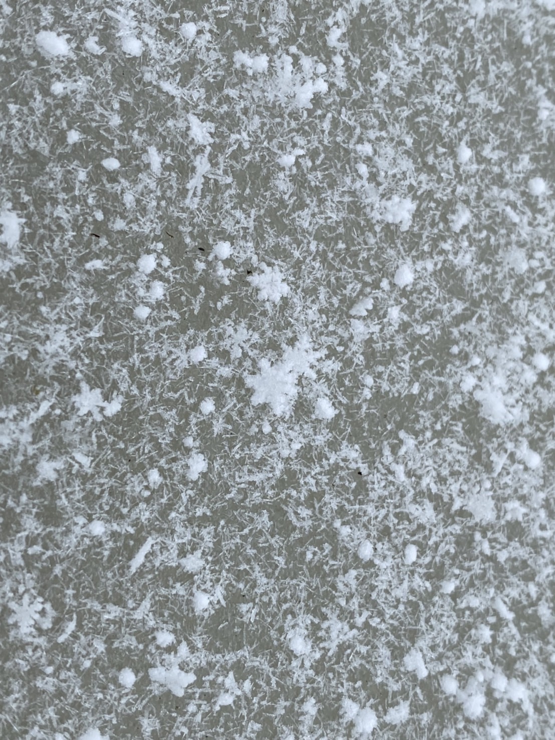 玉山昨（17）日下午1時50分開始下雪。（圖／氣象局提供）