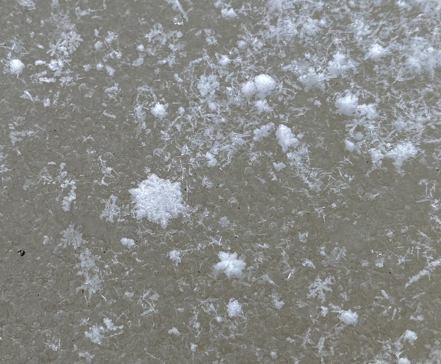 玉山今(17)日下午1時50分開始下雪。(圖/氣象局提供)