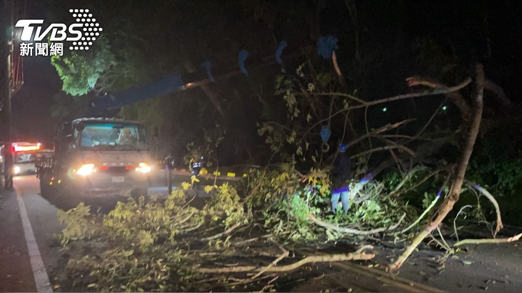 台中路樹倒塌，警察站路口交管，遭左轉車輛撞上倒地。（圖／警方提供）