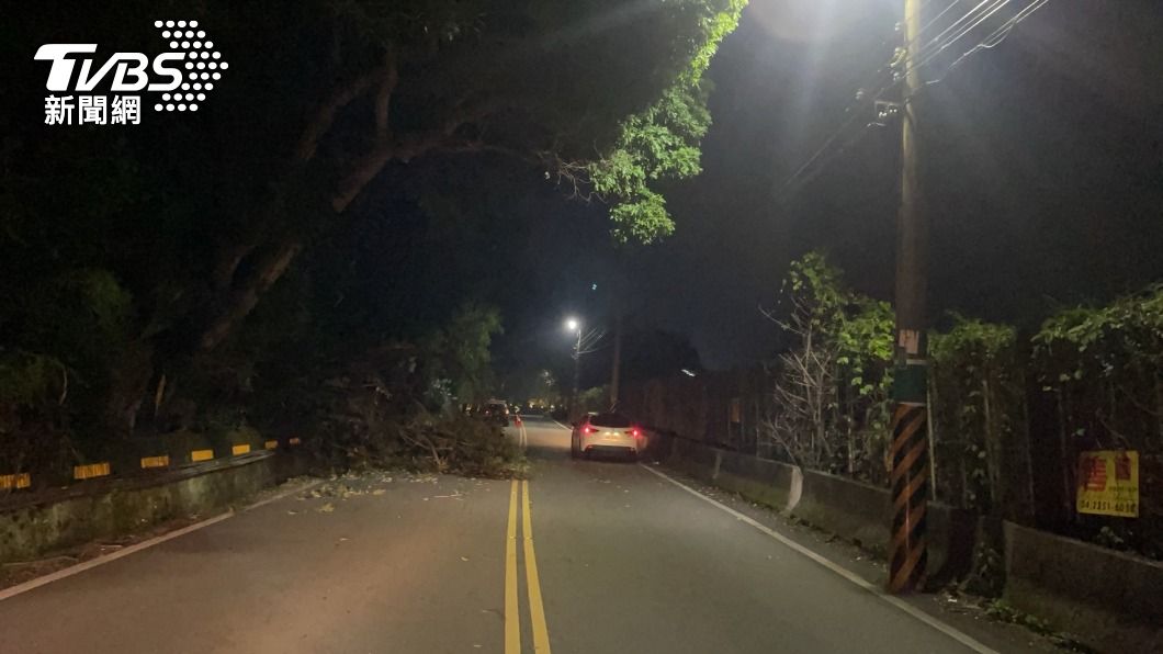 台中路樹倒塌，警察站路口交管，遭左轉車輛撞上倒地。（圖／警方提供）