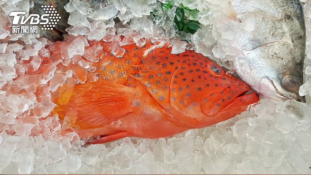 大馬遊客赴虎尾點紅條魚 被收1120問「合理嗎」