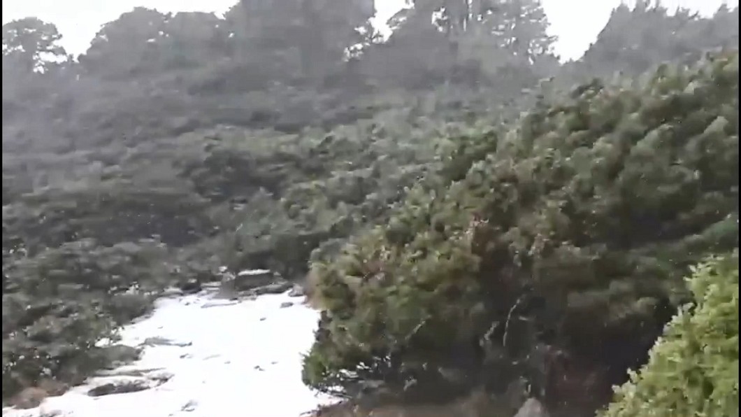 圖／翻攝自雪霸國家公園