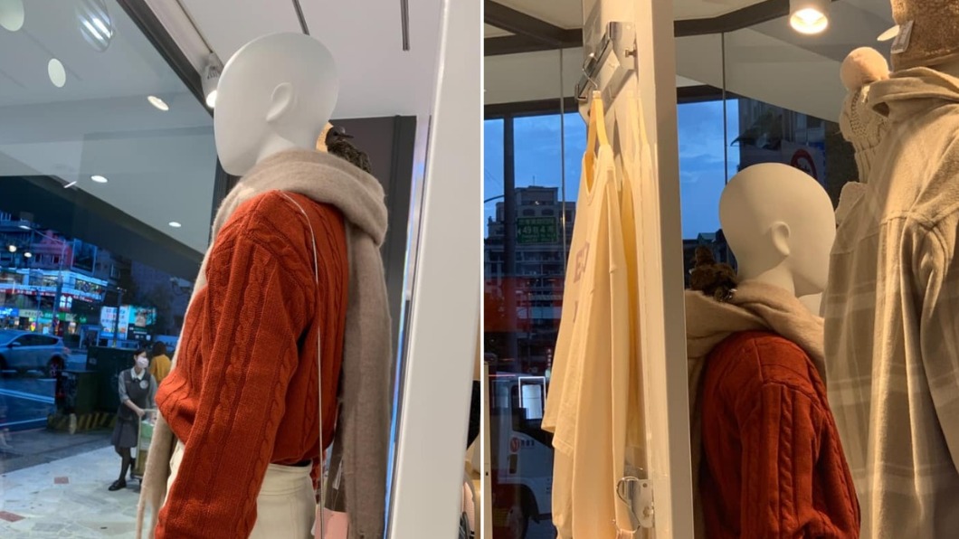 誤闖服飾店!小斑鳩爽窩模特兒圍巾 網笑歪:當自己家?