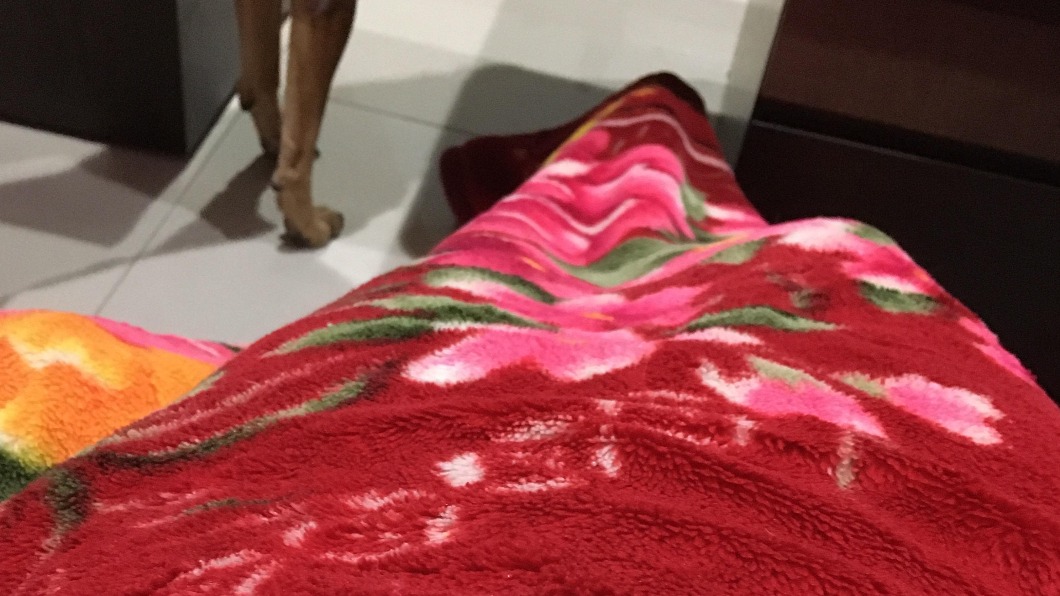 寒流蓋「阿嬤紅毛毯」秒溫暖!網曝進階用法:睡到流汗