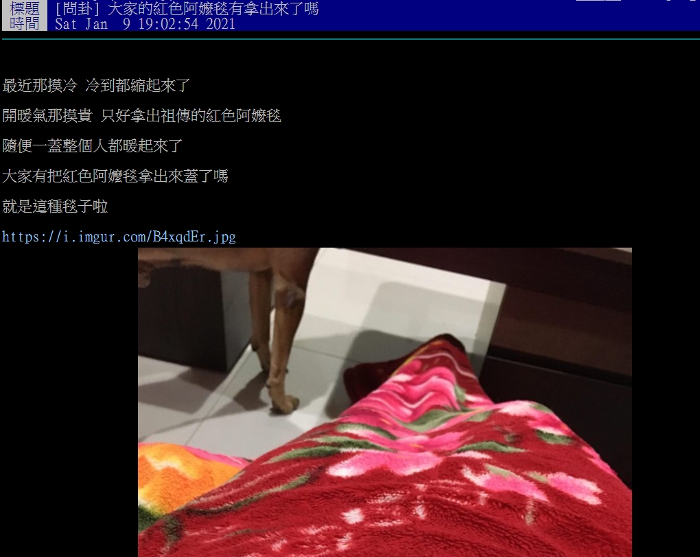 網友大讚(圖/翻攝自PTT)