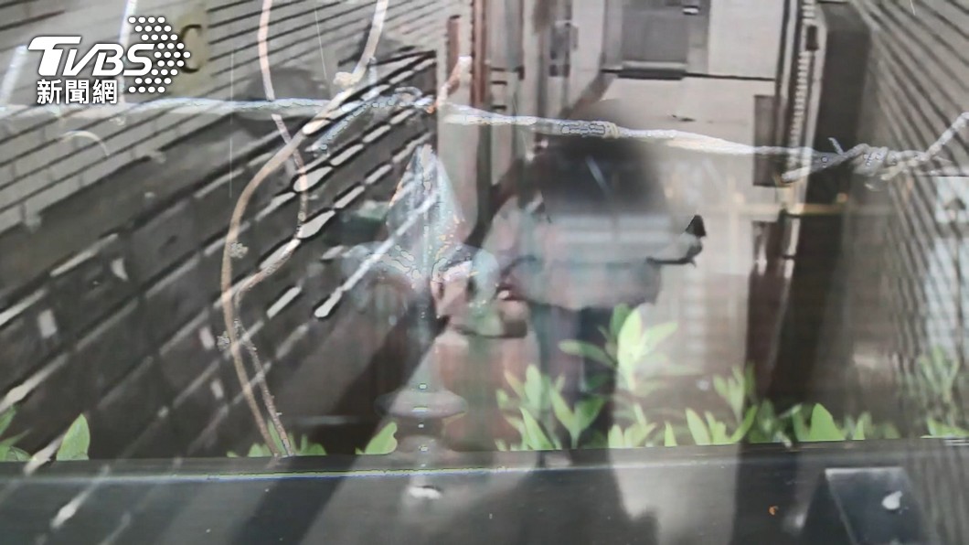 圖／TVBS