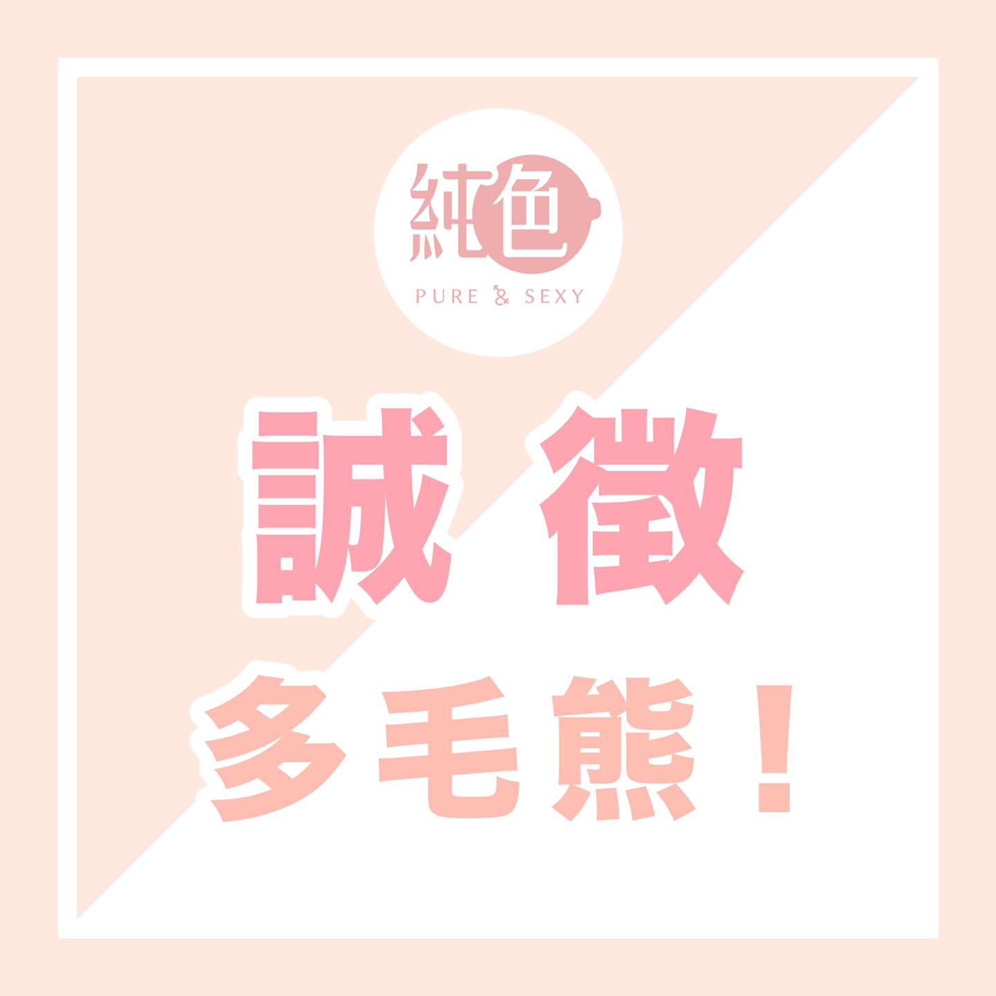 誠徵多毛熊。(圖/翻攝自純色臉書)