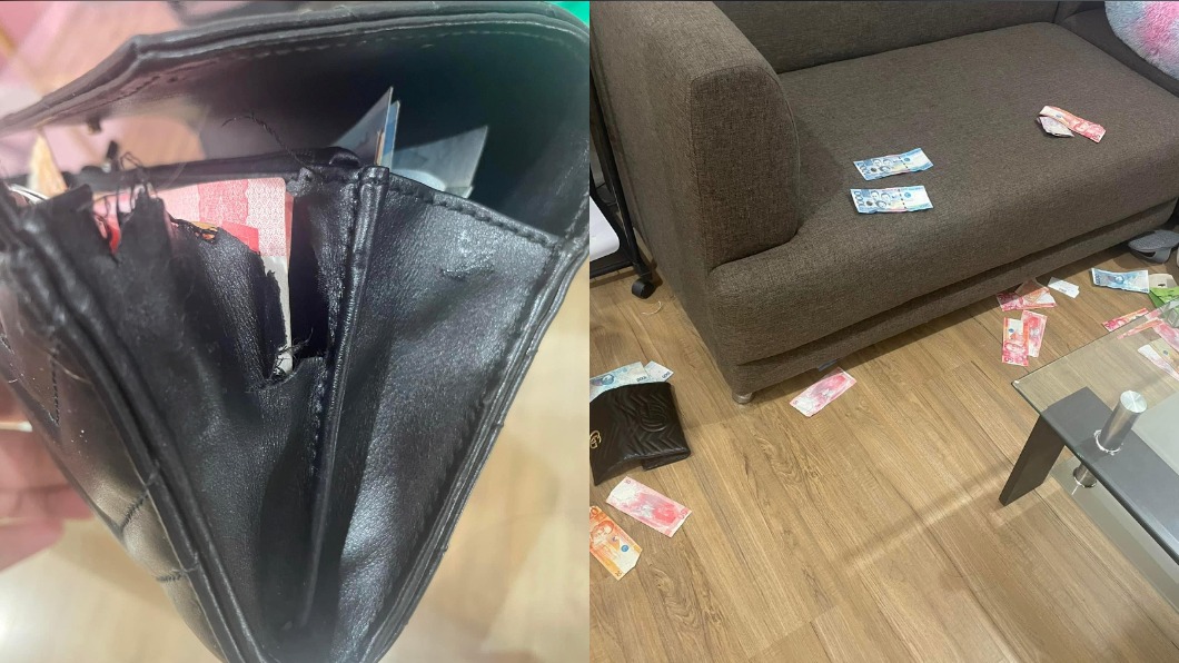 不到5分鐘皮夾被咬爆！凶手一臉驕傲　網笑：幫忙驗貨