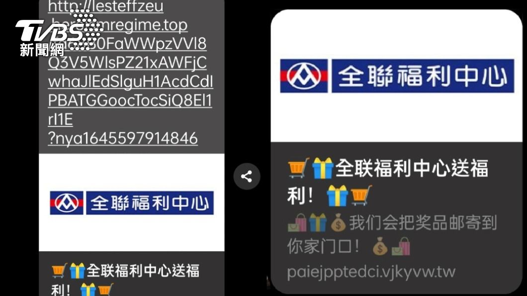 這其實是詐騙集團的釣魚網站。(圖/TVBS)