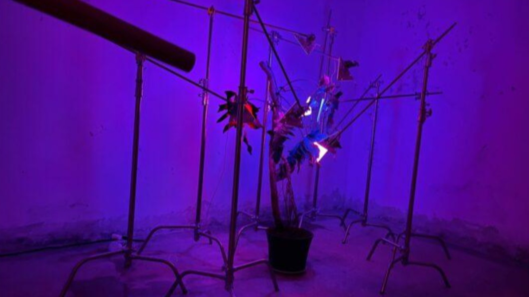 馬祖國際藝術島的各展品分別陳設於南竿、北竿、莒光及東引各島。（圖／引新聞提供）
