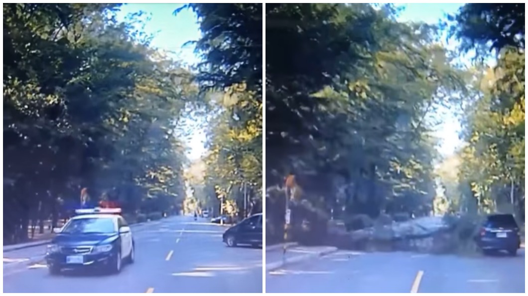 想襲警？台南漁光島路樹倒警車險遭砸　網笑：神明有保佑