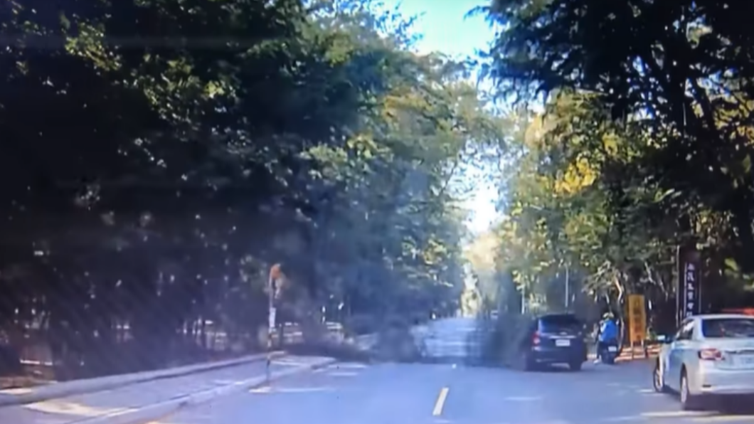 路樹倒塌砸中一輛黑色轎車。(圖/翻攝自台南諸事會社)