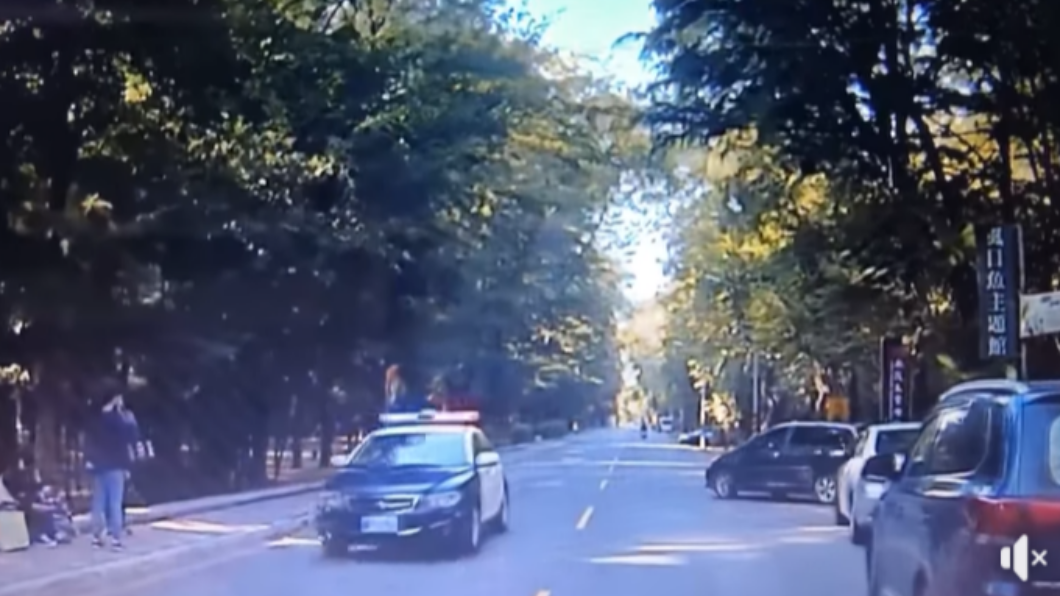 警車經過沒多久,發生路樹倒塌意外。(圖/翻攝自台南諸事會社)