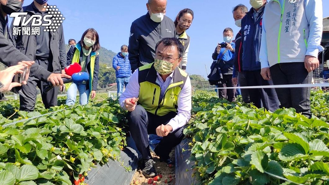 何時有蛋?天氣好轉產率回穩 陳吉仲曝供應滿足時間