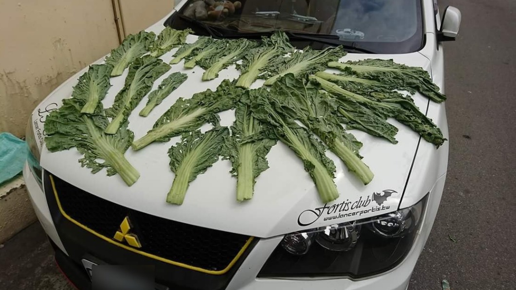 愛車被阿嬤拿去曬鹹菜！他崩潰：至少舖紙箱　苦主狂+1