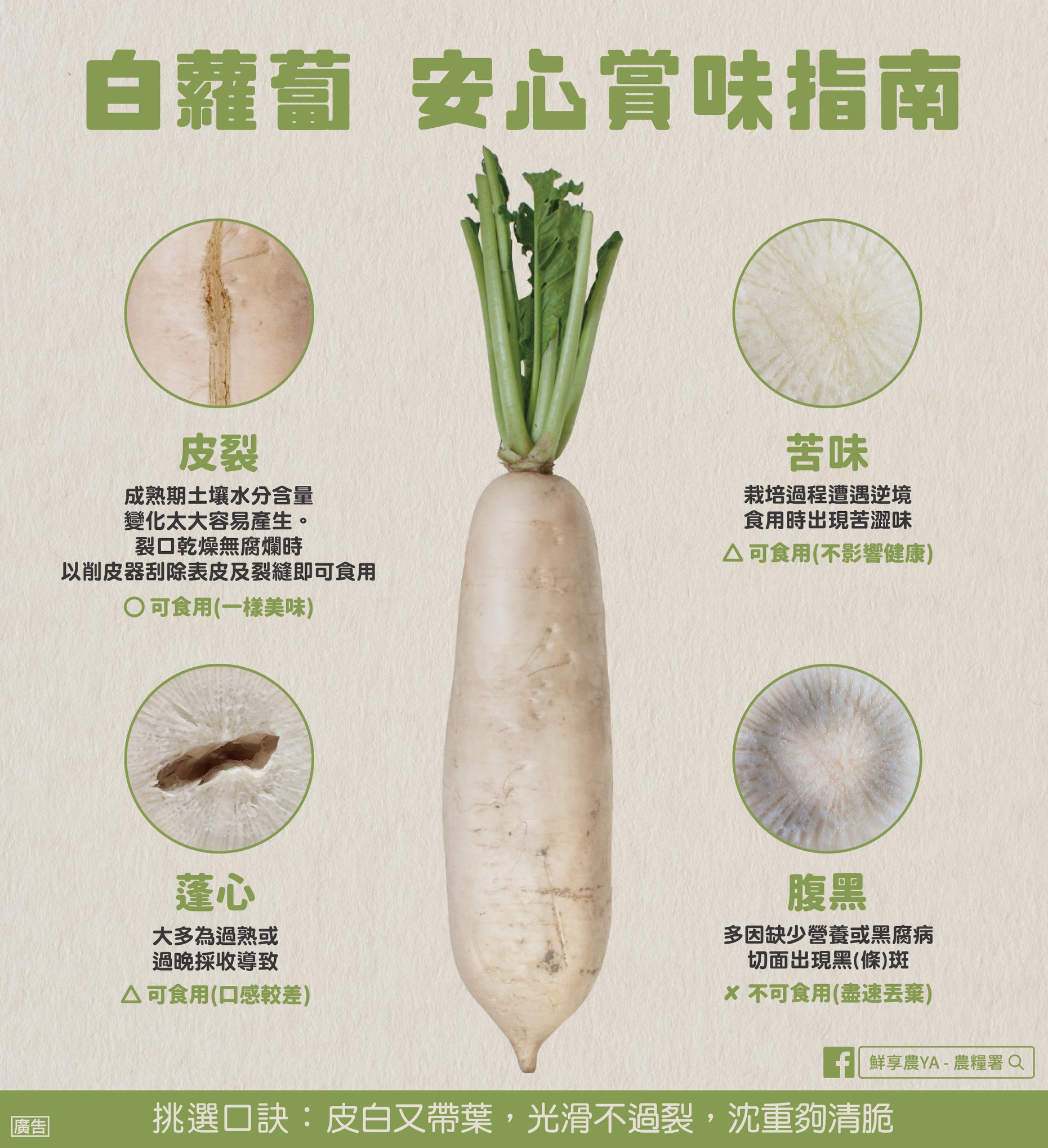 農糧署公布白蘿蔔安心賞味指南。（圖／翻攝自農糧署臉書）
