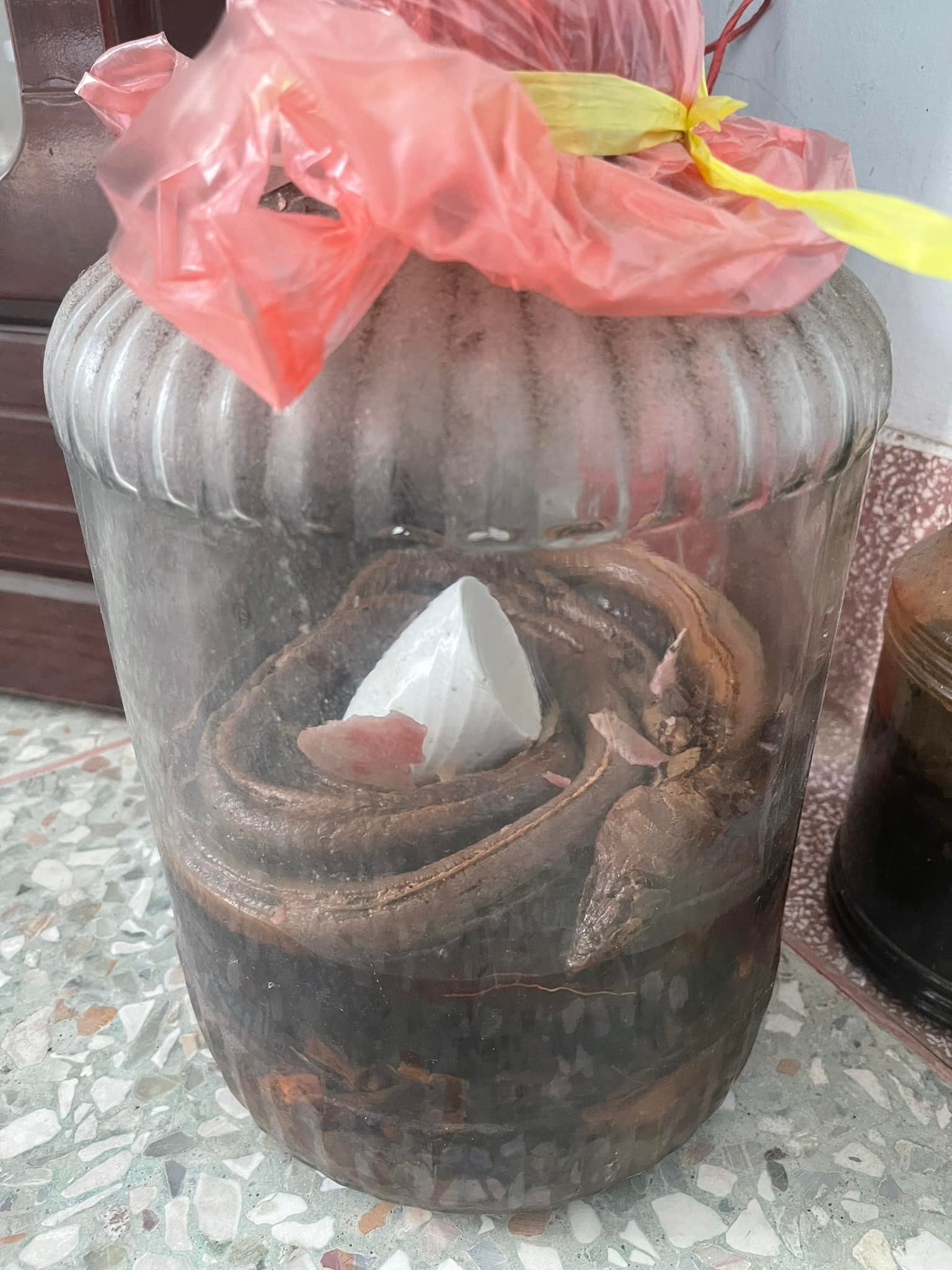 這罐是土龍酒,行家聲稱價值5萬。(圖/翻攝自爆廢公社臉書)