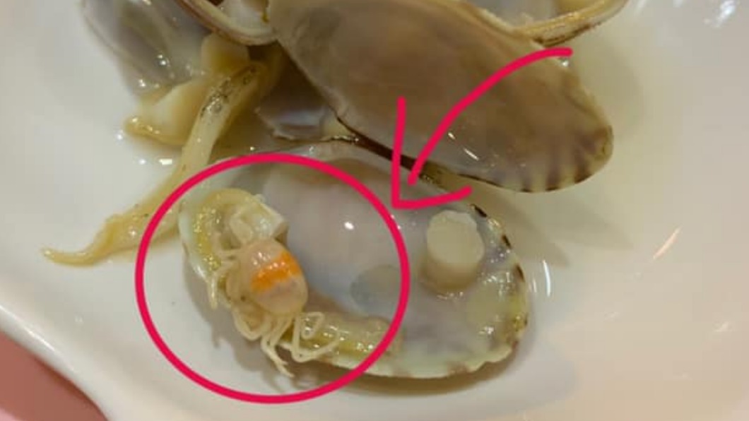吃爭鮮驚見「多腳詭異生物」！網一看嗨喊：買到賺到