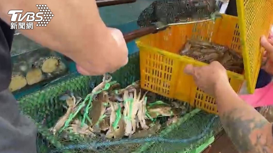 搶救萬里蟹!無預警停電龜吼漁港商家哀號 漁貨急送港邊泡海水